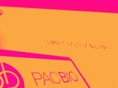 PacBio Luncurkan Program Genomik Presisi Pertama di Asia, Saham Melesat Singkat