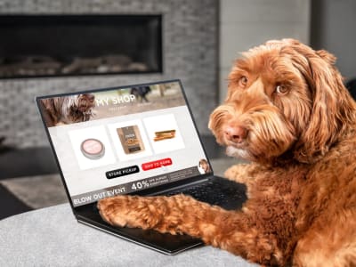 Kenapa Penurunan Saham Chewy Setelah Laporan Keuangan Justru Peluang Beli