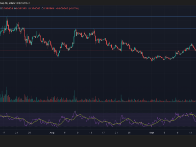 Lonjakan Volume XLM Dorong Harga ke Rp 641.36 ribu ($0,39) Namun Volatilitas Tetap Tinggi