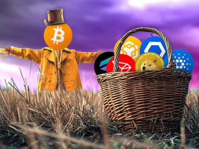 Musim Altcoin: Mengapa Kripto Selain Bitcoin Kini Mengguncang Pasar