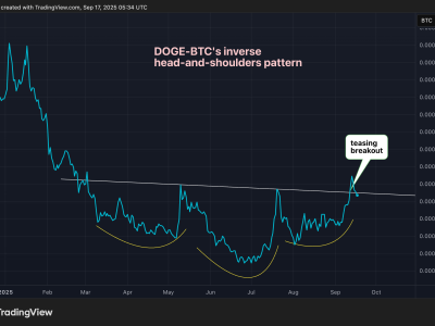 Investor Besar Manfaatkan Penurunan Harga Dogecoin Jelang Peluncuran ETF