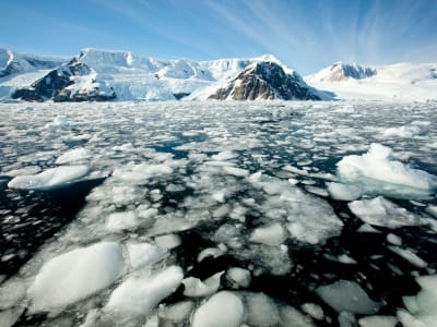 Ancaman Kritis: Hilangnya Es Antartika Bisa Sebabkan Banjir Global