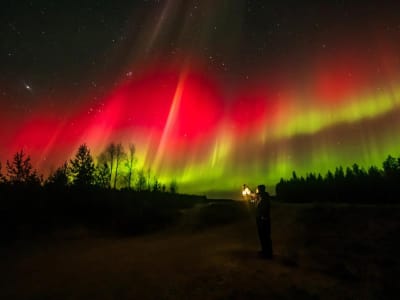 Paparan Cahaya Merah Turunkan Risiko Pembekuan Darah dan Stroke