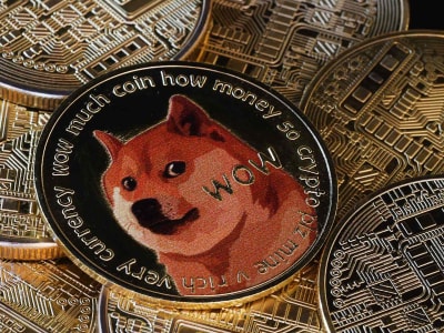 ETF Dogecoin Pertama Diluncurkan, Seriuskan Mata Uang Digital Berawal dari Guyonan