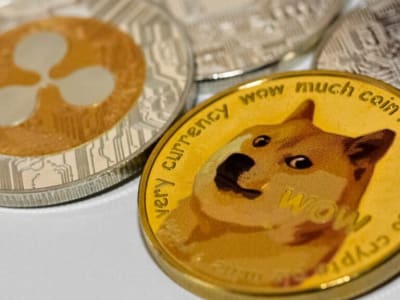 ETF Dogecoin & XRP Meledak Usai SEC Terapkan Aturan Baru Jadi Lebih Cepat