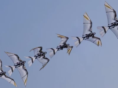 RoboFalcon2.0: Robot Terbang Futuristik yang Meniru Lepas Landas Burung