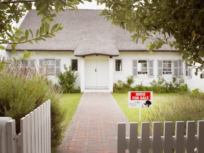 Opendoor Cari CEO Baru Demi Raih Profitabilitas dan Inovasi Layanan