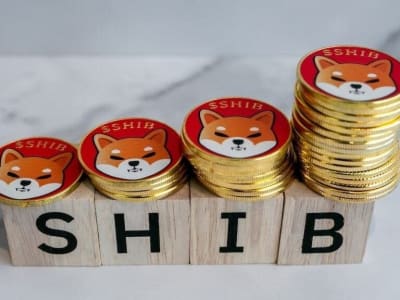 Shiba Inu Alami Lonjakan Pembakaran Token 1.431%, Apa Artinya?