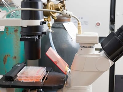 Terobosan Bioreaktor Tingkatkan Produksi Vesikel Penyembuh dalam Skala Besar