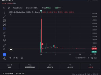 Meme Coin 120 Hours di Pump.fun: Kisah Rug Pull dan Peringatan untuk Investor