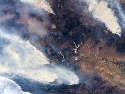 Astronaut Tangis Melihat Dampak Pemanasan Global dan Kebakaran Hutan Dunia