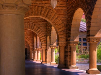 Masa Depan VC: Gelar MBA Tak Lagi Jadi Kunci Utama Kesuksesan