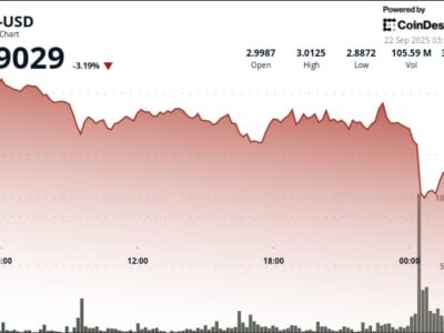 Peluncuran ETF XRP AS Buat Harga Bergejolak, Apakah XRP Bisa Tembus Rp 49.34 ribu ($3) ?
