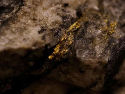 Serangan Siber dan Pencurian Emas di Museum Prancis Ungkap Kerentanan Keamanan