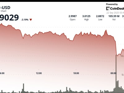 XRP Turun Tajam Setelah Debut ETF: Apa Artinya untuk Masa Depan Token?
