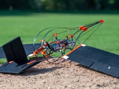 Drone Fixed-Wing Tahan Benturan Terinspirasi Kepala Burung Pelatuk