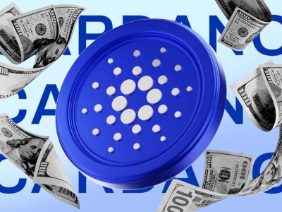 Cardano Rencanakan Suntikan Dana Rp 674.25 miliar ($41 Juta)  untuk Kembangkan Pasar Stablecoin dan DeFi