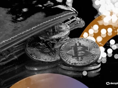 Fold Umumkan Kartu Kredit Bitcoin Baru dengan Rewards Hingga 3,5%, Saham Terjun Bebas