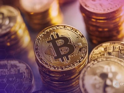 Jumlah Jutawan Kripto Melonjak 40% seiring Pasar Bitcoin Melejit