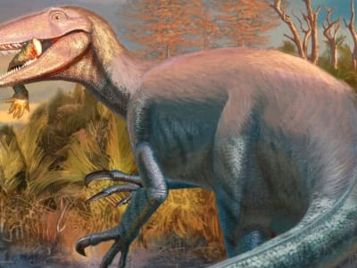 Penemuan Dinosaurus Predator Baru dengan Bukti Makan Buaya di Mulutnya