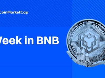 BNB Chain Tembus Harga Tertinggi Baru dan Pimpin Aktivitas Blockchain Minggu Ini