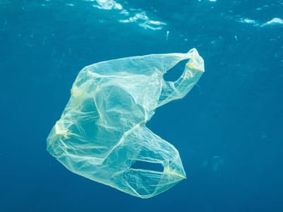 Limbah Plastik Kantong Jadi Sensor Nano Deteksi Logam Beracun di Air