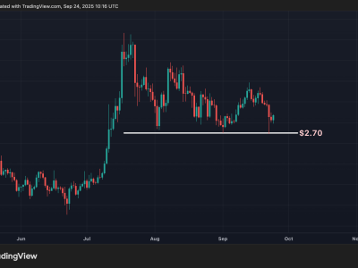 Persaingan Ketat DEX dan Tren Bitcoin: Apa yang Harus Diperhatikan Investor Crypto?