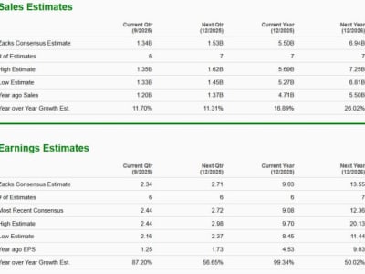 AppLovin vs Duolingo: Mana Investasi Teknologi Mobile yang Lebih Menjanjikan?
