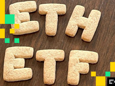 Ether Jadi Pilar Penting Aset Treasury Digital, Lampaui Bitcoin