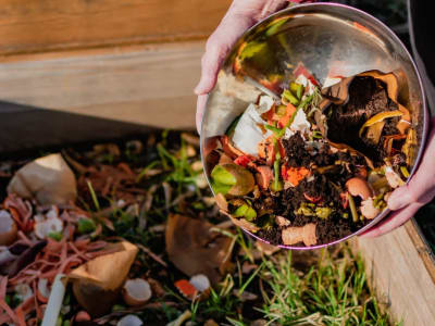 Kerjasama Kanada-Jepang Perangi Limbah Makanan dengan Teknologi Pengemasan Baru