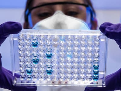 Terobosan Terapi Fag Presisi Lawan Bakteri Resisten di Rumah Sakit