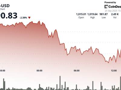 Penurunan Harga BNB dan Upaya BNB Chain Turunkan Biaya Gas