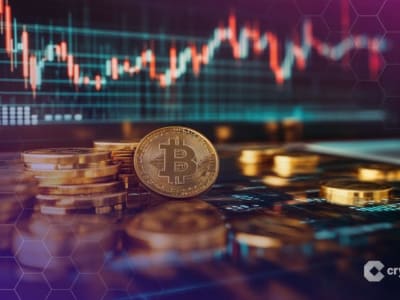 Perusahaan Treasury Kripto Berisiko Anjlok 50% Setelah Pendanaan PIPE