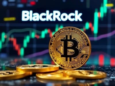 BlackRock Luncurkan ETF Bitcoin Premium, Tarik Investor Cari Pendapatan Tetap