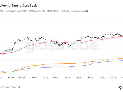 Bitcoin Alami Tekanan Harga dan Volatilitas Terendah di Tahun Ini