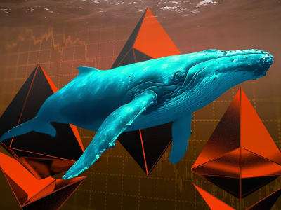 Masalah Whales dalam DAO: Solusi Privasi Voting dan Tantangannya