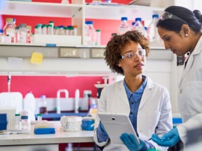 Keunggulan Peneliti Pemula dalam Mendorong Inovasi Ilmiah yang Disruptif