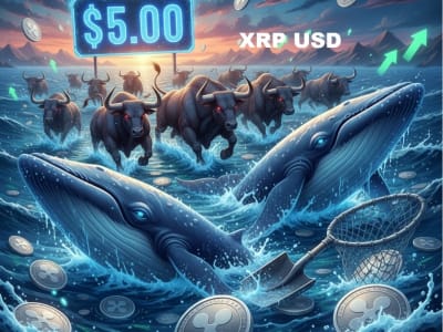 XRP Mulai Bangkit, Potensi Naik ke Harga All-Time High Baru Tahun 2025