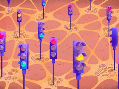 Rahasia Keseimbangan Otak: Peran Penting Neuron Eksitatori dan Inhibitor