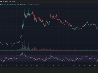 Harga XLM Stellar Melonjak 3,7% Didukung Volume Perdagangan Tinggi