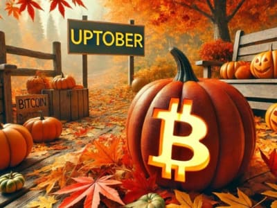 Apakah Koin Crypto Ini Bisa 5x di Uptober-Movember? Analisis 5 Pemain Top