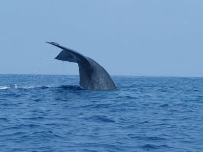 Transfer 200 Juta USDT ke Binance Bisa Picu Lompatan Harga Bitcoin