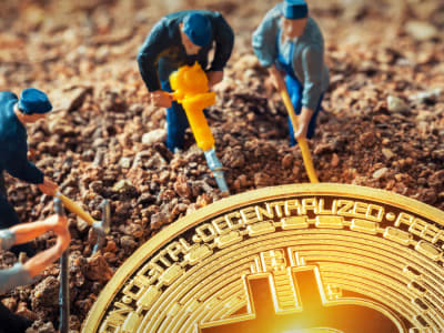 Strategi Unik Hive Digital: Menyimpan Bitcoin untuk Ekspansi dan Keuntungan Besar