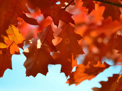 Apakah Bitcoin Akan Menembus Rekor Harga Baru di Oktober Ini?