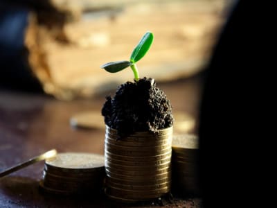 John Wiley & Sons: Saham Dividen Stabil dengan Fokus Digital dan Peluang AI