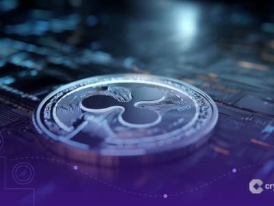 David Schwartz Mundur Sebagai CTO Ripple Tapi Masih Terlibat Aktif
