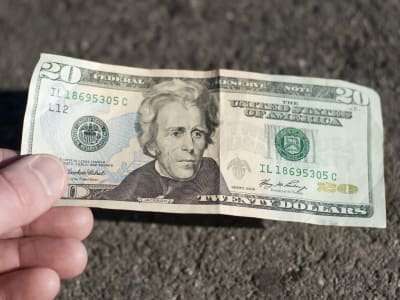 Bagaimana Rp 328.90 miliar ($20 M) engubah Masa Depan Finansial Shanli Liu Secara Drastis