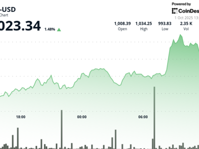 Komunitas BNB Lawan Peretasan dengan Beli Token Palsu dan Pulihkan Kepercayaan