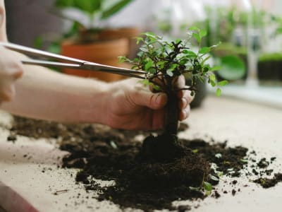 Peluang Triliunan Dolar Fintech dari Integrasi DeFi Menurut Pendiri Aave