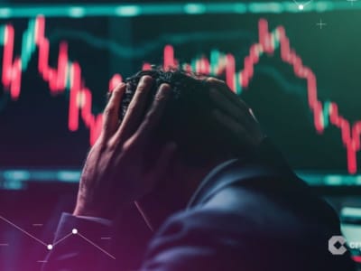 Pendiri Plasma Tolak Tuduhan Jual Token Internal Setelah Harga XPL Anjlok 50%